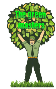 The Green Masters Of Tampa Bay, landscaping Florida, landscaping FL, landscaping Largo Florida, landscaping Largo FL,lawn care Largo Florida,lawn care Largo FL,sprinklers and tree trimming services Largo Florida,sprinklers and tree trimming services Largo FL,Tree Service Largo Florida,Tree Service Largo FL,Sprinklers Largo Florida,Sprinklers Largo FL, landscaping Dunedin Florida, landscaping Dunedin FL,lawn care Dunedin Florida,lawn care Dunedin FL,sprinklers and tree trimming services Dunedin Florida,sprinklers and tree trimming services Dunedin FL,Tree Service Dunedin Florida,Tree Service Dunedin FL,Sprinklers Dunedin Florida,Sprinklers Dunedin FL, landscaping Oceanside Florida, landscaping Oceanside FL,lawn care Oceanside Florida,lawn care Oceanside FL,sprinklers and tree trimming services Oceanside Florida,sprinklers and tree trimming services Oceanside FL,Tree Service Oceanside Florida,Tree Service Oceanside FL,Sprinklers Oceanside Florida,Sprinklers Oceanside FL, landscaping Safety Harbor Florida, landscaping Safety Harbor FL,lawn care Safety Harbor Florida,lawn care Safety Harbor FL,sprinklers and tree trimming services Safety Harbor Florida,sprinklers and tree trimming services Safety Harbor FL,Tree Service Safety Harbor Florida,Tree Service Safety Harbor FL,Sprinklers Safety Harbor Florida,Sprinklers Safety Harbor FL, landscaping Clearwater Florida, landscaping Clearwater FL,lawn care Clearwater Florida,lawn care Clearwater FL,sprinklers and tree trimming services Clearwater Florida,sprinklers and tree trimming services Clearwater FL,Tree Service Clearwater Florida,Tree Service Clearwater FL,Sprinklers Clearwater Florida,Sprinklers Clearwater FL, landscaping Palm Harbor Florida, landscaping Palm Harbor FL,lawn care Palm Harbor Florida,lawn care Palm Harbor FL,sprinklers and tree trimming services Palm Harbor Florida,sprinklers and tree trimming services Palm Harbor FL,Tree Service Palm Harbor Florida,Tree Service Palm Harbor FL,Sprinklers Palm Harbor Florida,Sprinklers Palm Harbor FL, landscaping Oldsmar Florida, landscaping Oldsmar FL,lawn care Oldsmar Florida,lawn care Oldsmar FL,sprinklers and tree trimming services Oldsmar Florida,sprinklers and tree trimming services Oldsmar FL,Tree Service Oldsmar Florida,Tree Service Oldsmar FL,Sprinklers Oldsmar Florida,Sprinklers Oldsmar FL, landscaping Tarpon Springs Florida, landscaping Tarpon Springs FL,lawn care Tarpon Springs Florida,lawn care Tarpon Springs FL,sprinklers and tree trimming services Tarpon Springs Florida,sprinklers and tree trimming services Tarpon Springs FL,Tree Service Tarpon Springs Florida,Tree Service Tarpon Springs FL,Sprinklers Tarpon Springs Florida,Sprinklers Tarpon Springs FL.